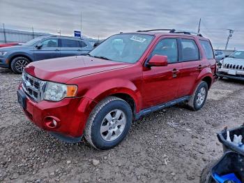  Salvage Ford Escape
