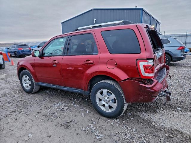 Ford Escape Limited Image 3