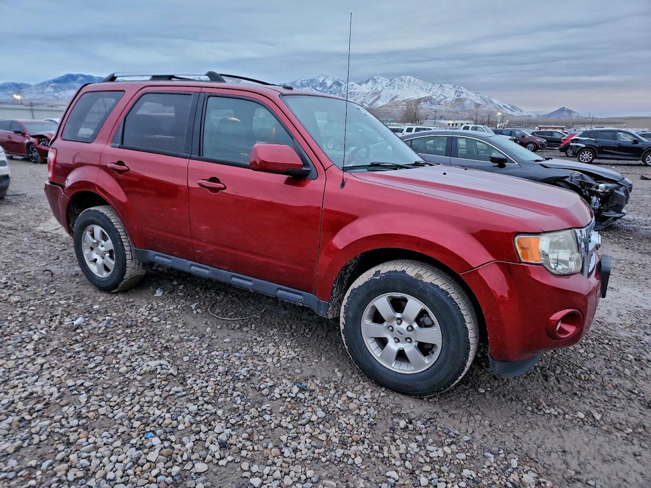 Ford Escape Limited Image 5