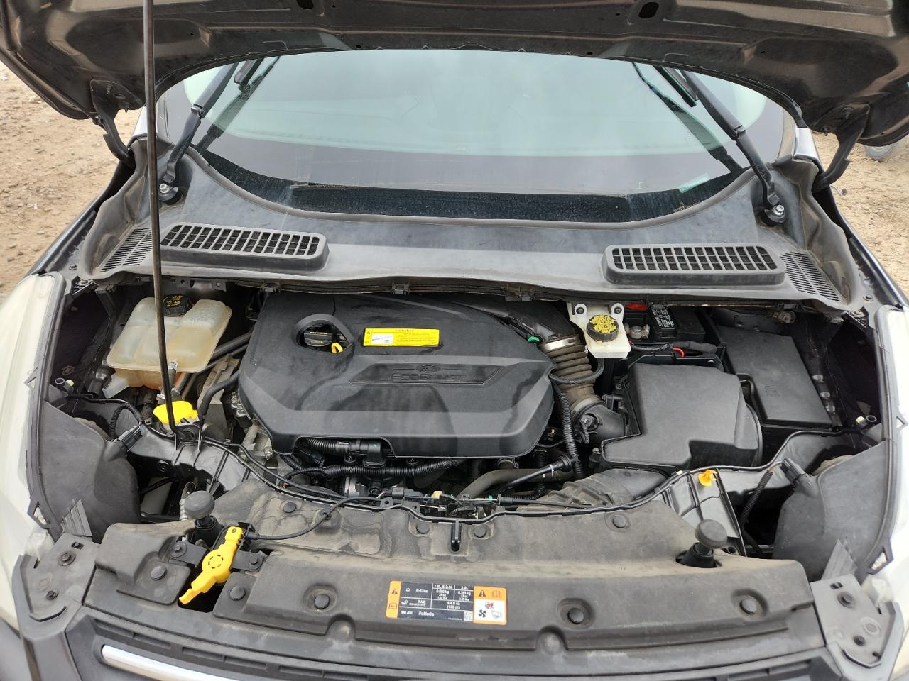 Ford Escape Se Image 12