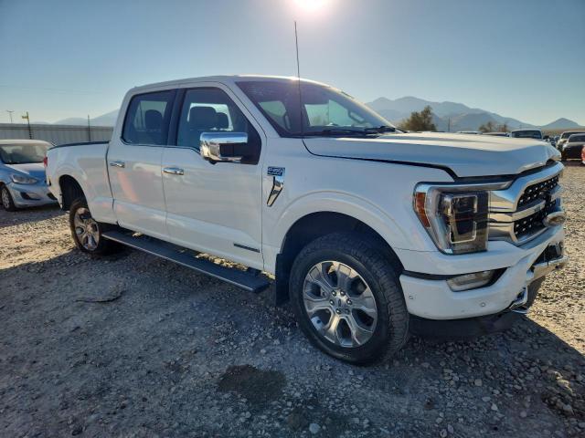 Ford F-150 Supercrew Image 5