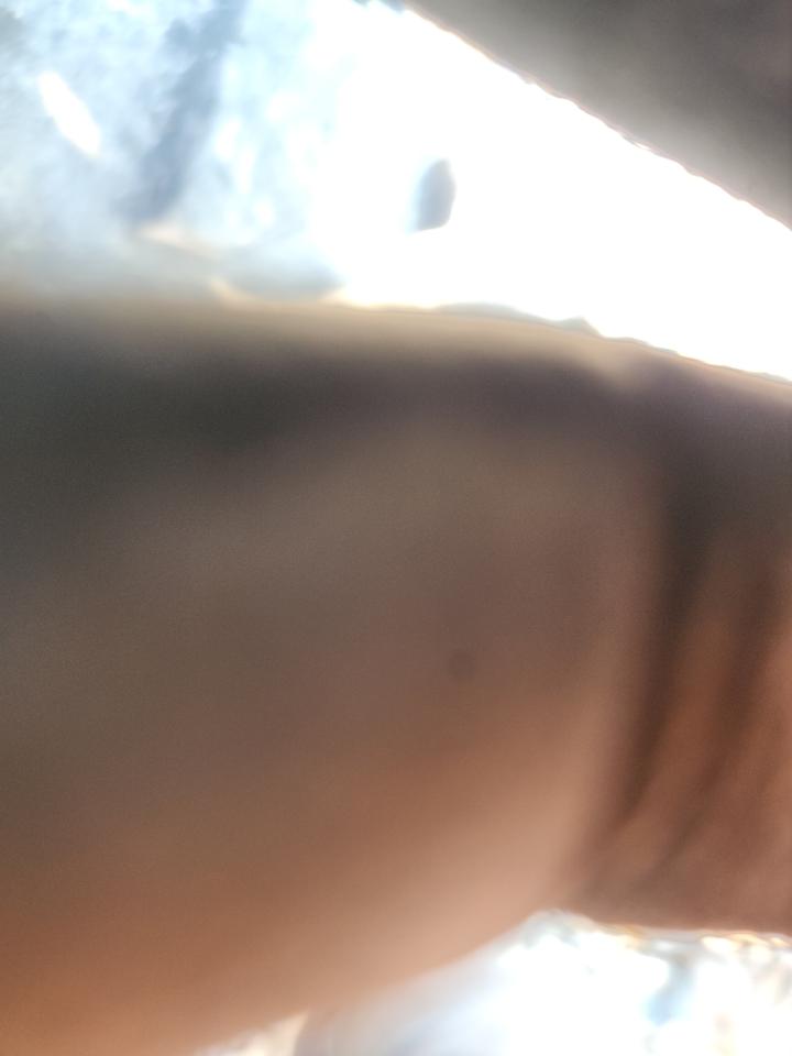 Polaris Rzr Xp 4 1 Xp 4 1000 Image 5