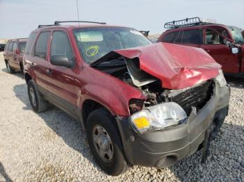  Salvage Ford Escape