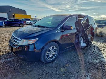  Salvage Honda Odyssey