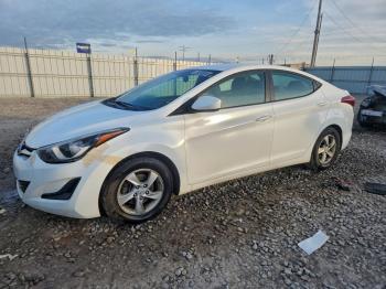  Salvage Hyundai ELANTRA