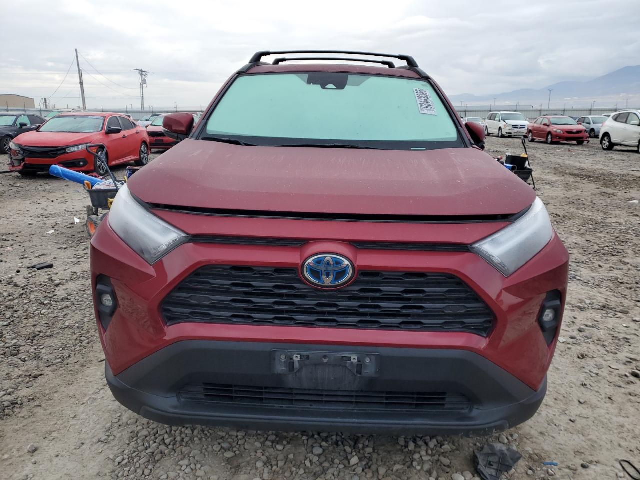 Toyota RAV4 Xle Premium Image 3