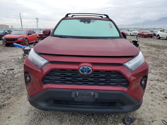 Toyota RAV4 Xle Premium Image 3