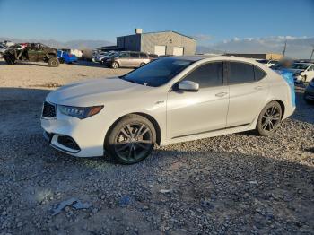  Salvage Acura TLX
