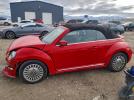 Volkswagen Beetle Image 1