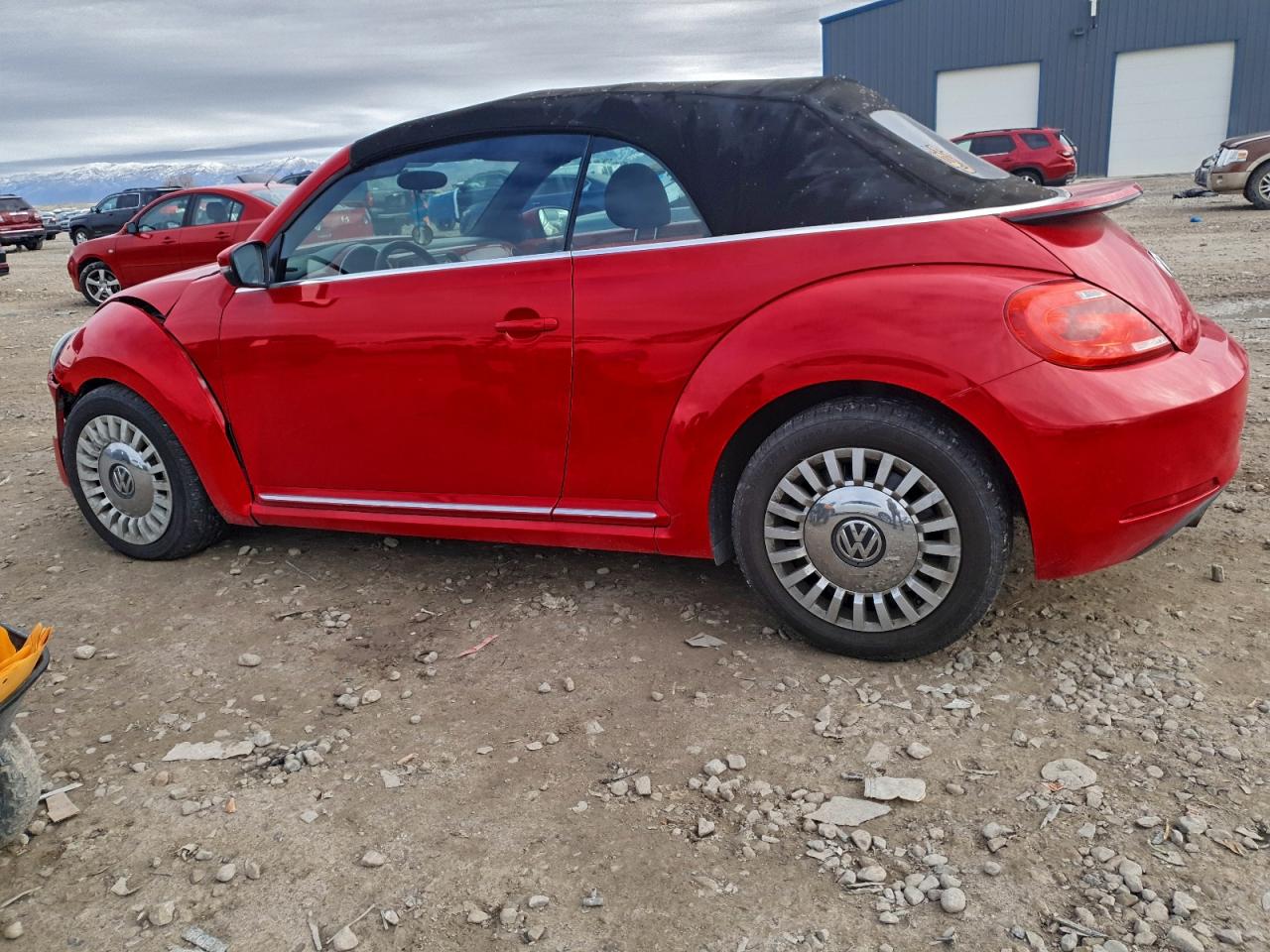 Volkswagen Beetle Image 2
