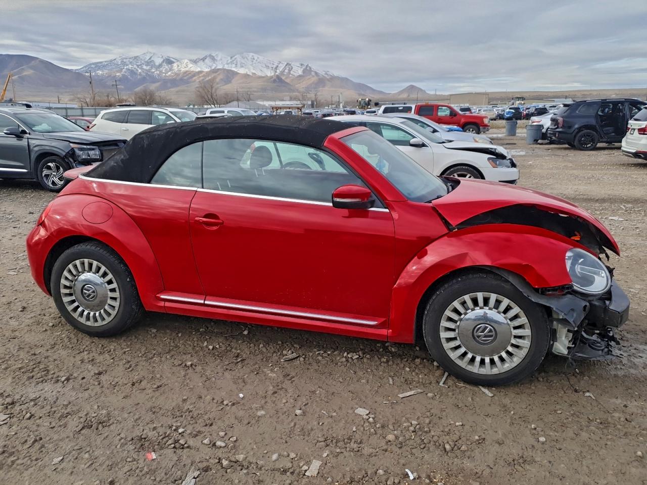 Volkswagen Beetle Image 3