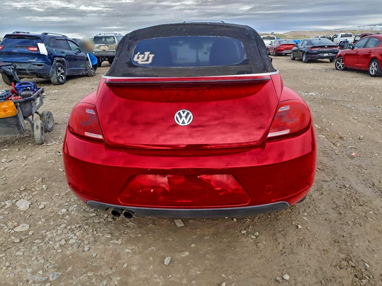 Volkswagen Beetle Image 10