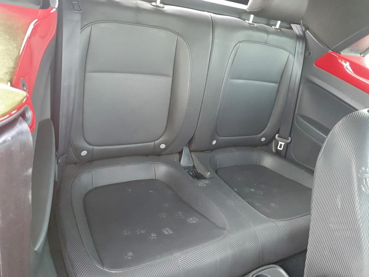 Volkswagen Beetle Image 5