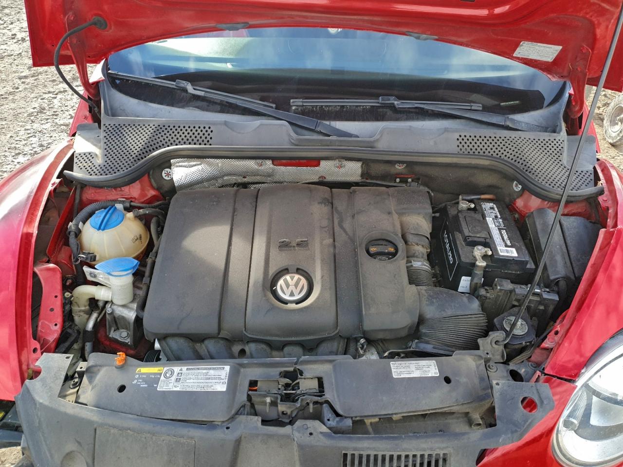 Volkswagen Beetle Image 11