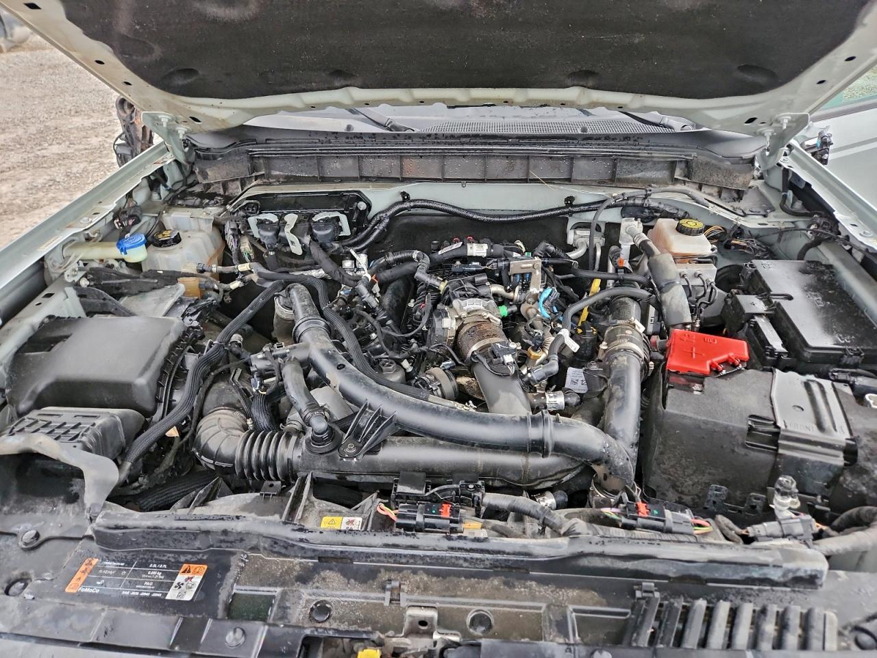 Ford Bronco Base Image 4