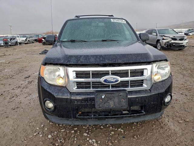 Ford Escape Xlt Image 6