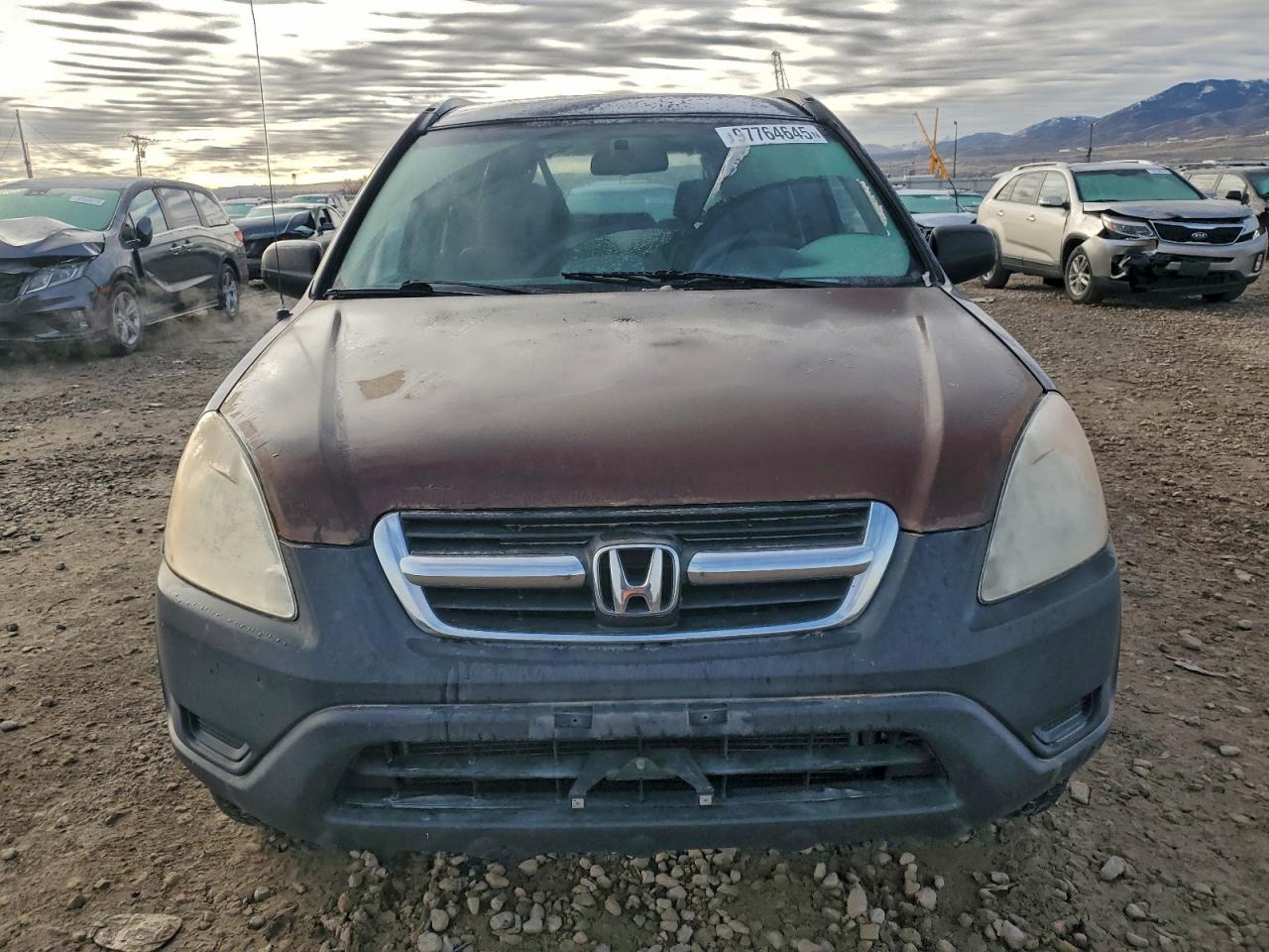 Honda Crv Lx Image 5