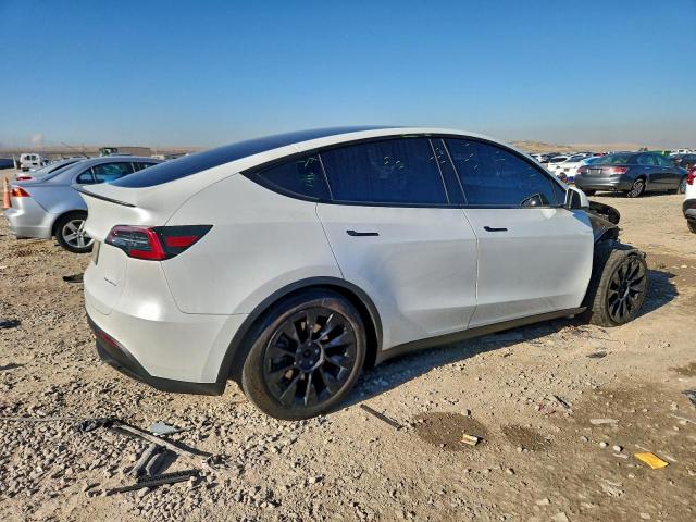 Tesla Model Y Image 5