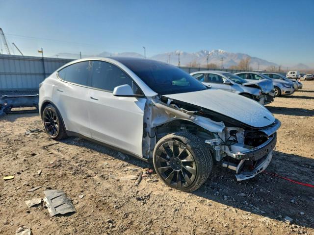 Tesla Model Y Image 11