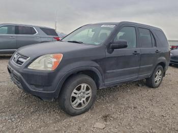  Salvage Honda Crv