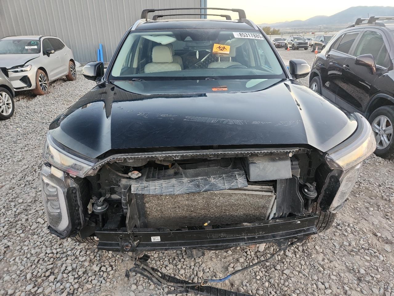 Hyundai PALISADE Limited Image 11