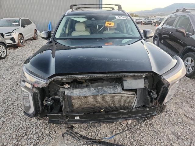 Hyundai PALISADE Limited Image 11