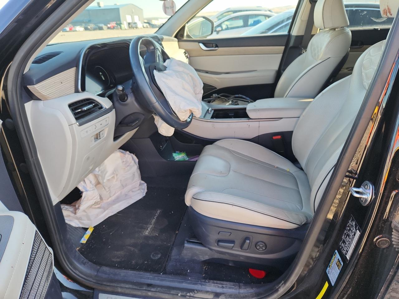 Hyundai PALISADE Limited Image 13