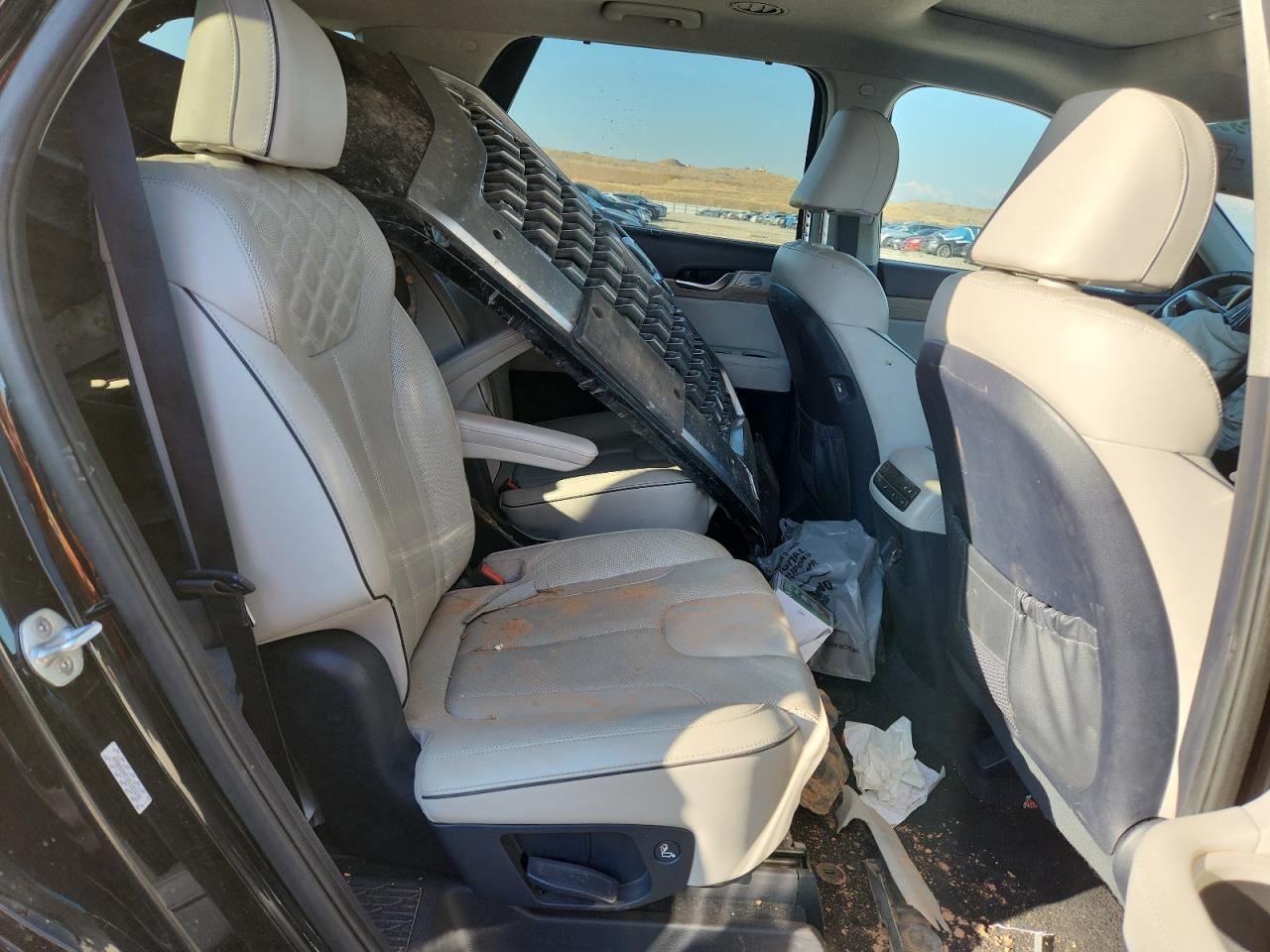 Hyundai PALISADE Limited Image 9