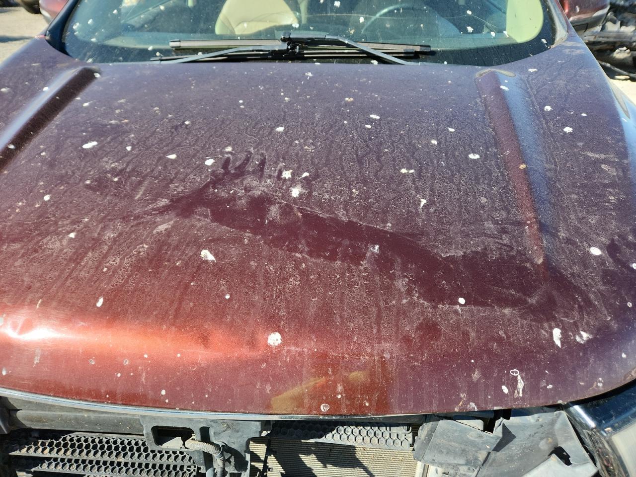 Ford Edge Sel Image 9