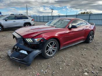  Salvage Ford Mustang