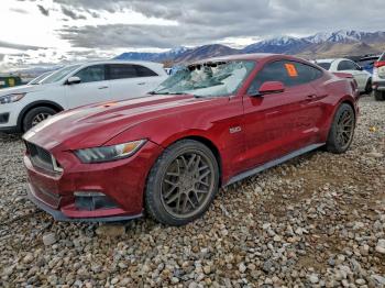  Salvage Ford Mustang