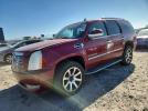 Cadillac Escalade Luxury Image 1