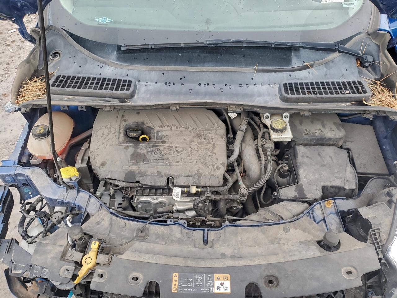 Ford Escape Se Image 13