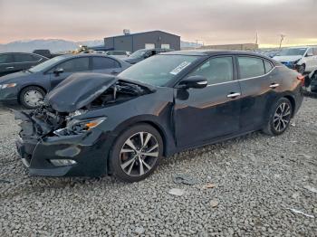  Salvage Nissan Maxima