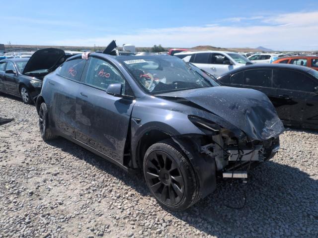 Tesla Model Y Image 2