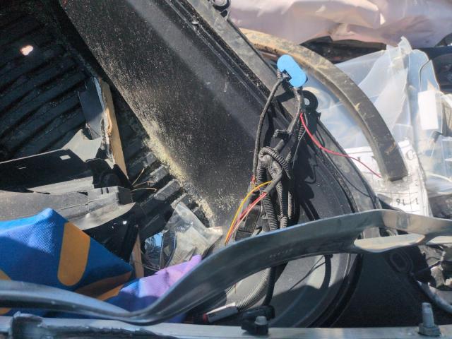 Tesla Model Y Image 6