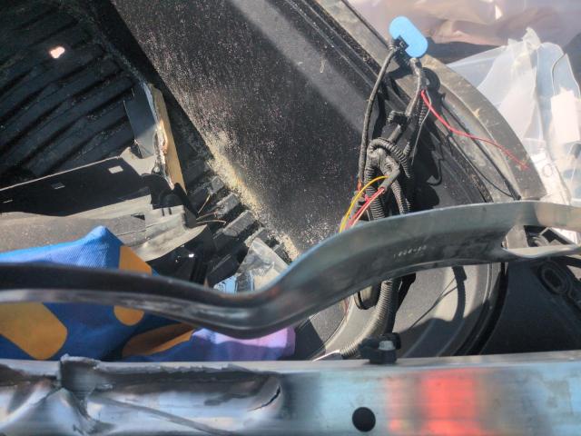 Tesla Model Y Image 5