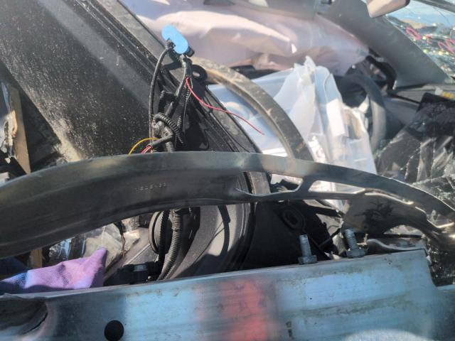 Tesla Model Y Image 11