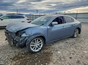  Salvage Nissan Maxima