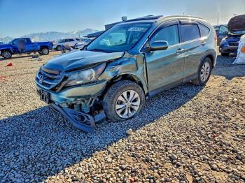  Salvage Honda Crv