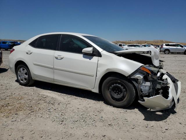 Toyota Corolla Eco Image 3