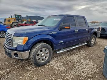  Salvage Ford F-150