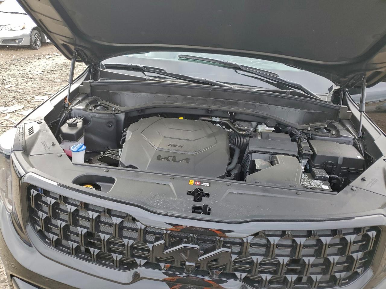 Kia Telluride Sx Image 9