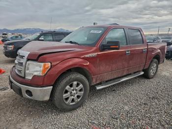  Salvage Ford F-150