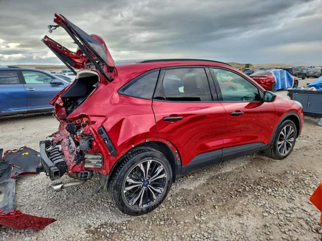 Ford Escape Sel Image 2