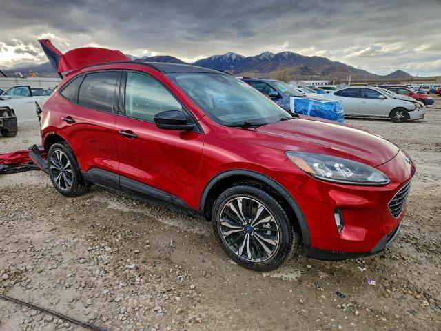 Ford Escape Sel Image 7