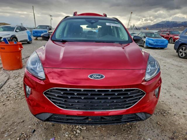 Ford Escape Sel Image 5