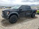 Ford F-150 Raptor Image 1