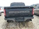 Ford F-150 Raptor Image 10
