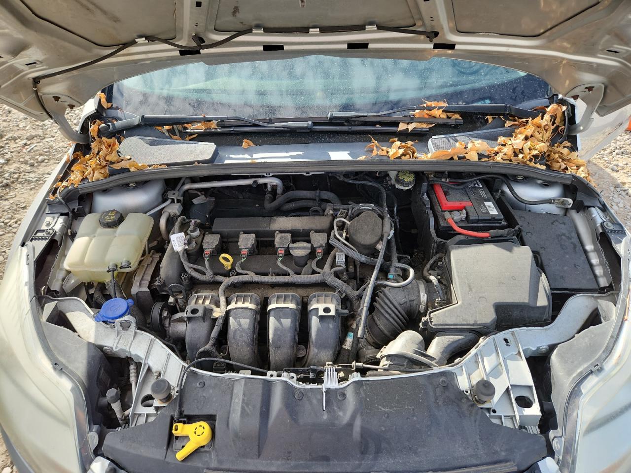 Ford Focus Se Image 8